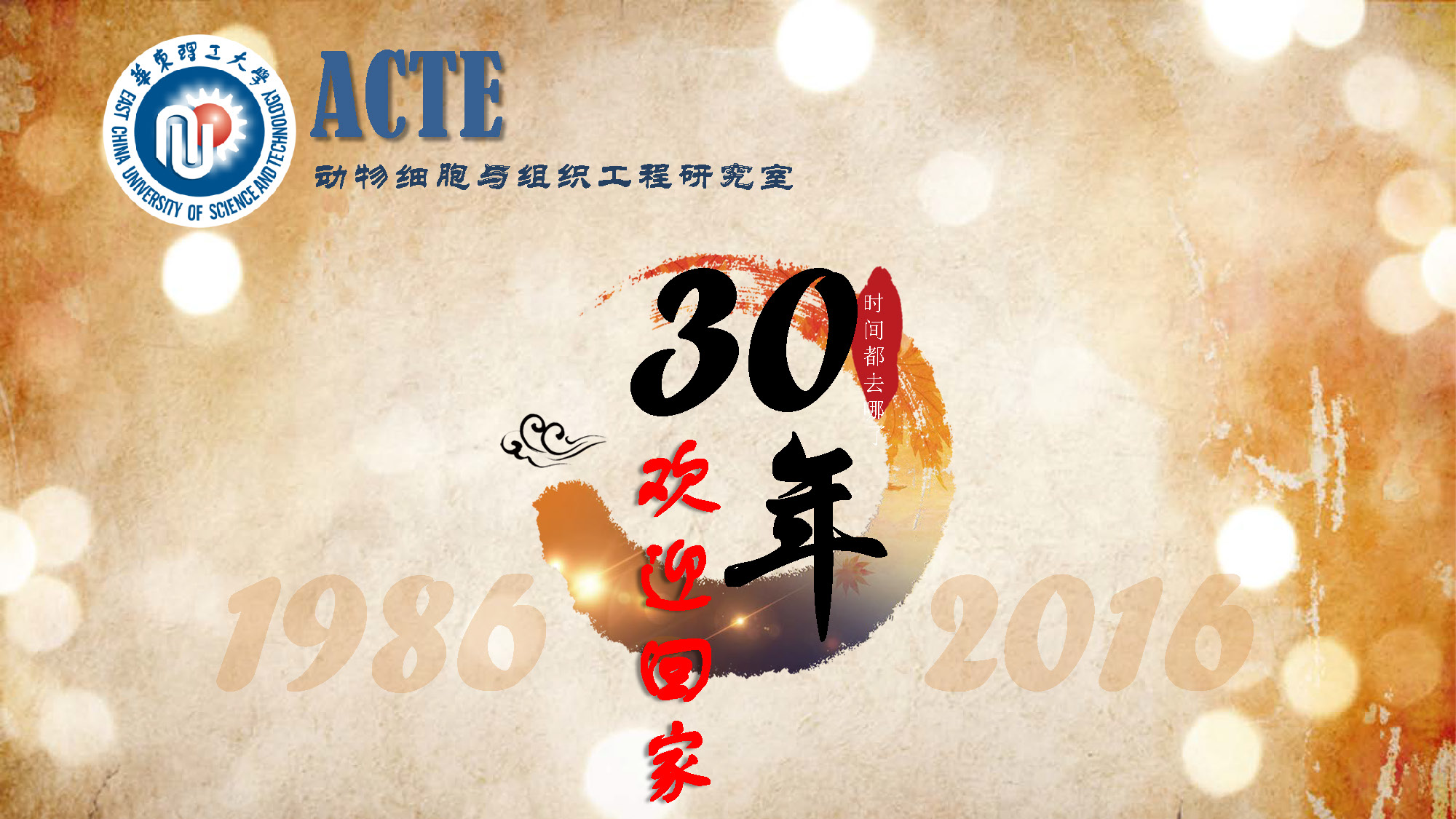 1480316953520856.jpg 1480316953520856.jpg